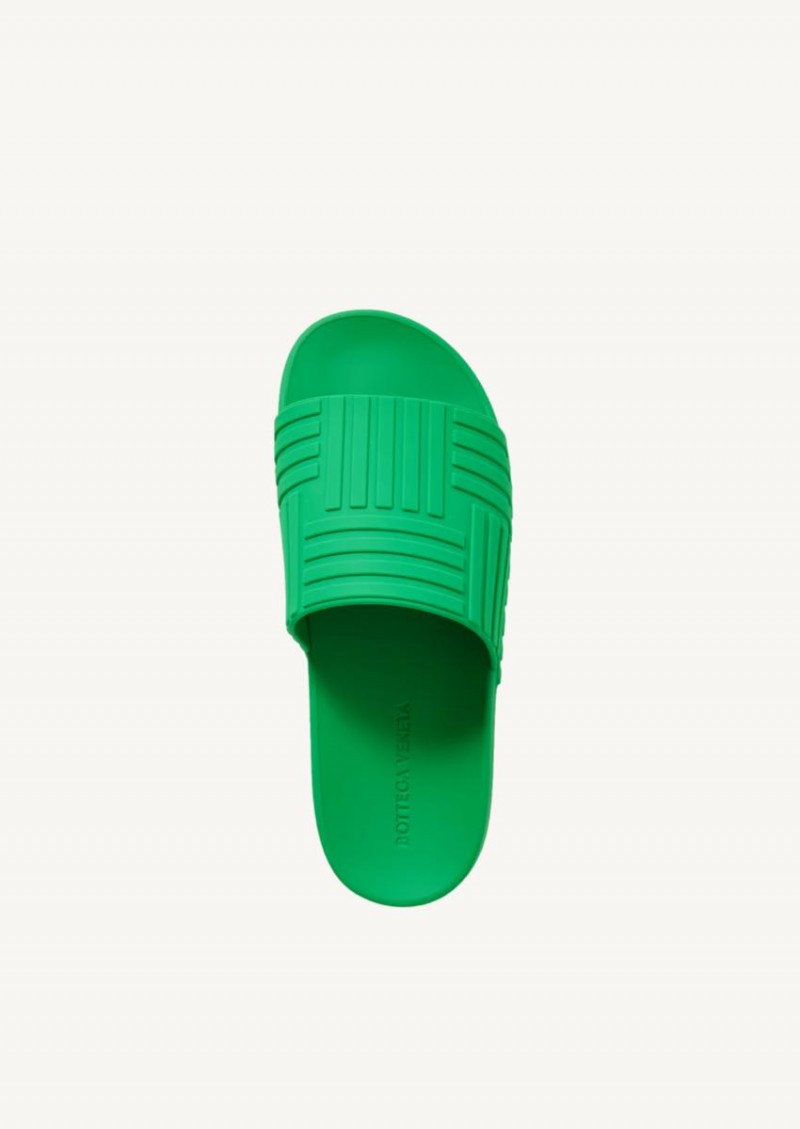 Parakeet slippers
