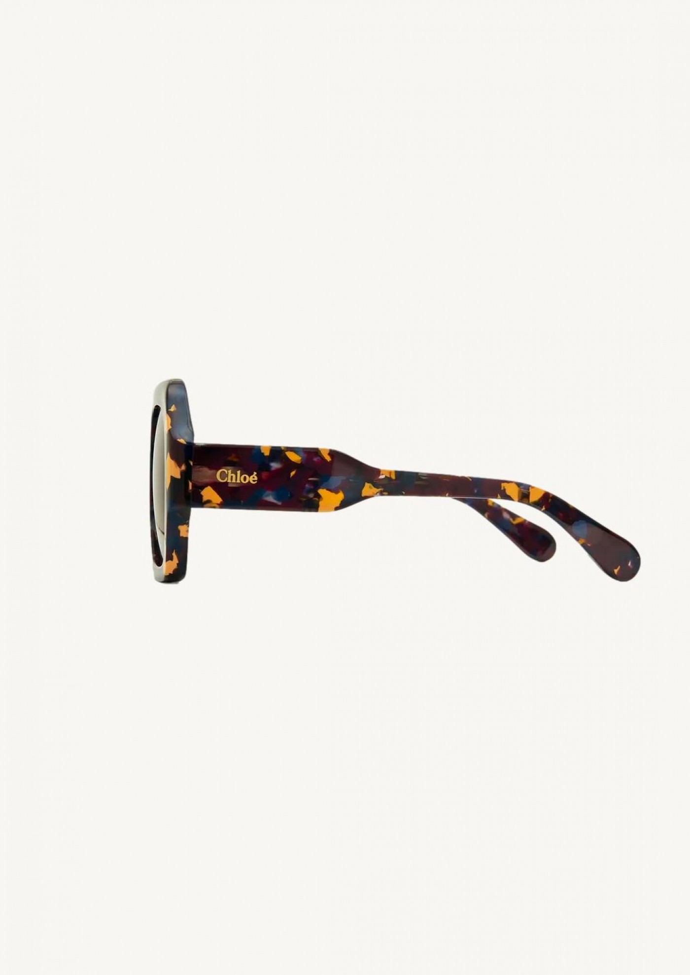 Sunglasses gayia BROWN-HAVANA