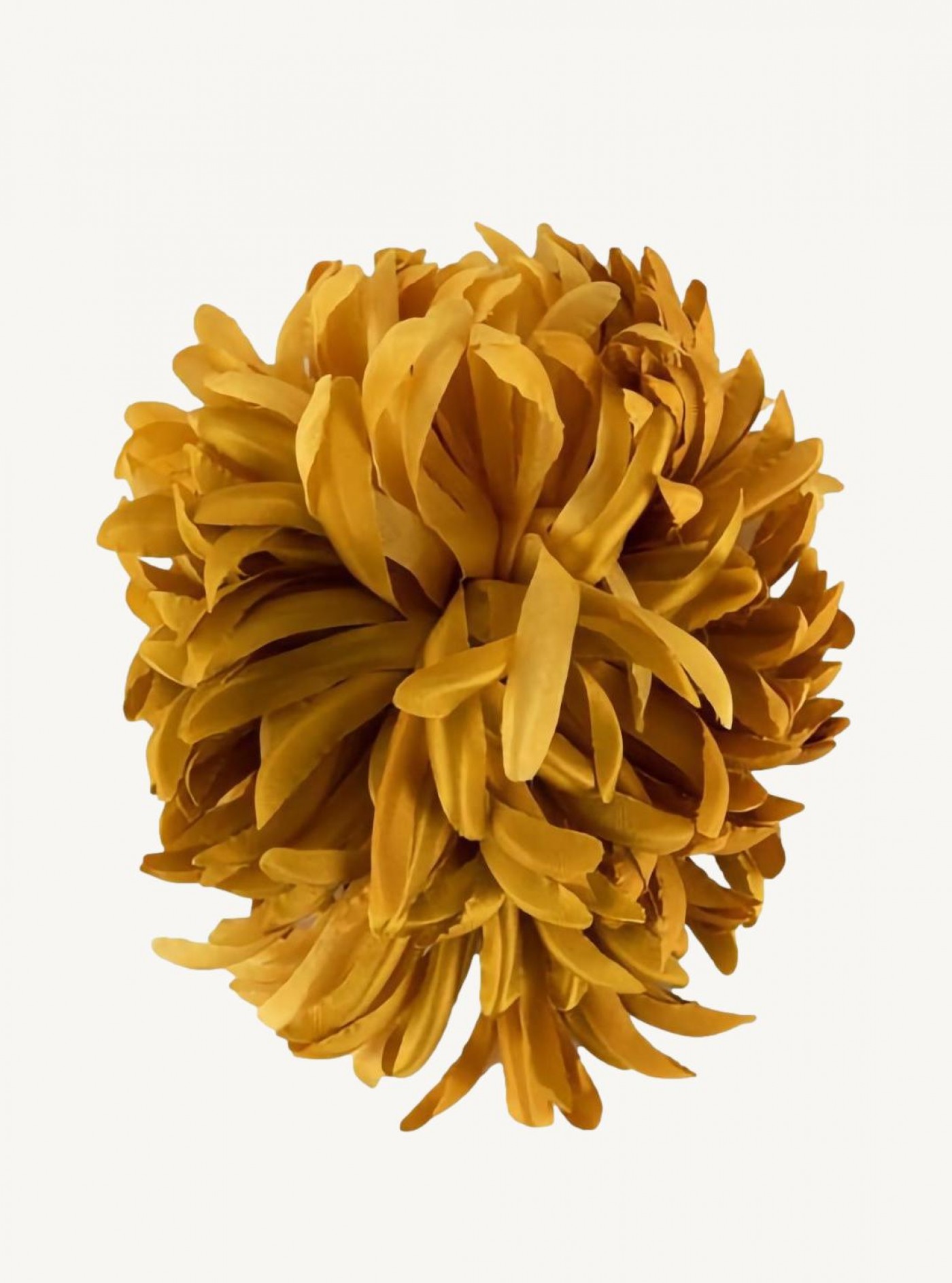 Gold anemone brooch