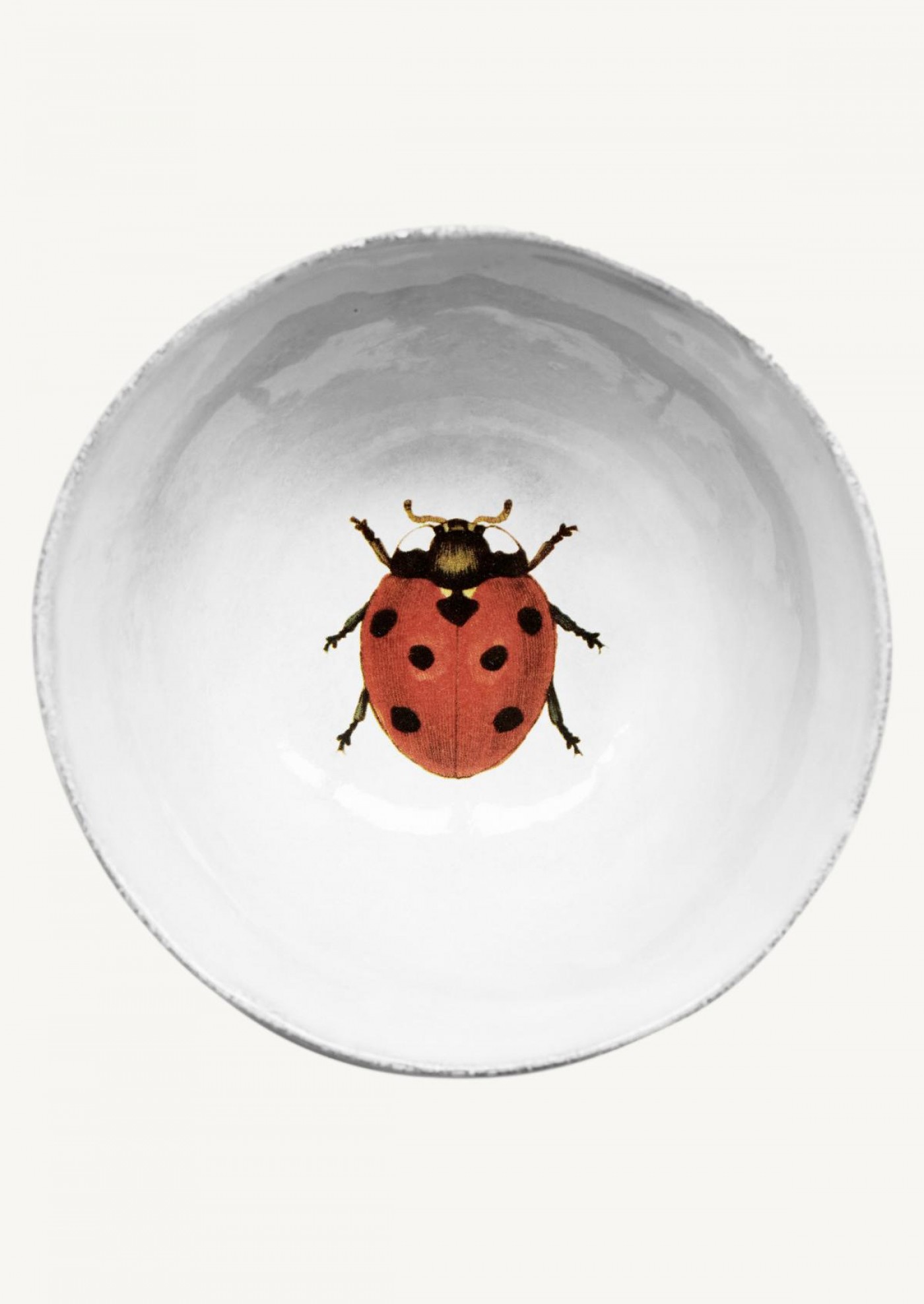 Soup plate ladybug